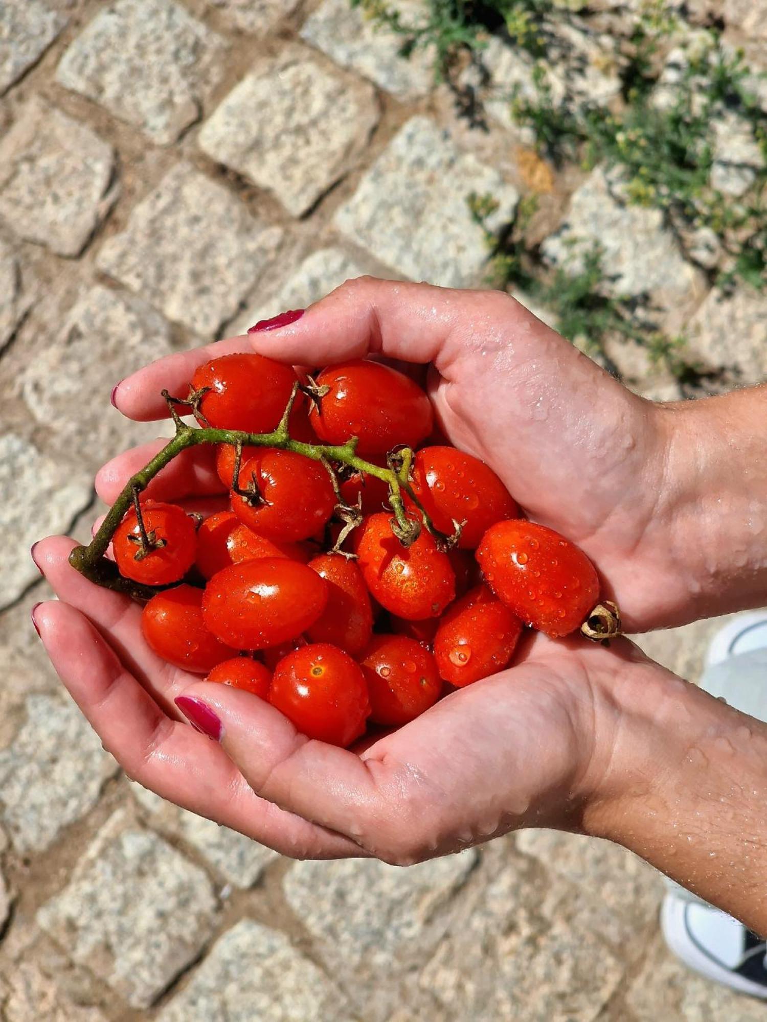 Horta Das Laranjas Serpa Buitenkant foto